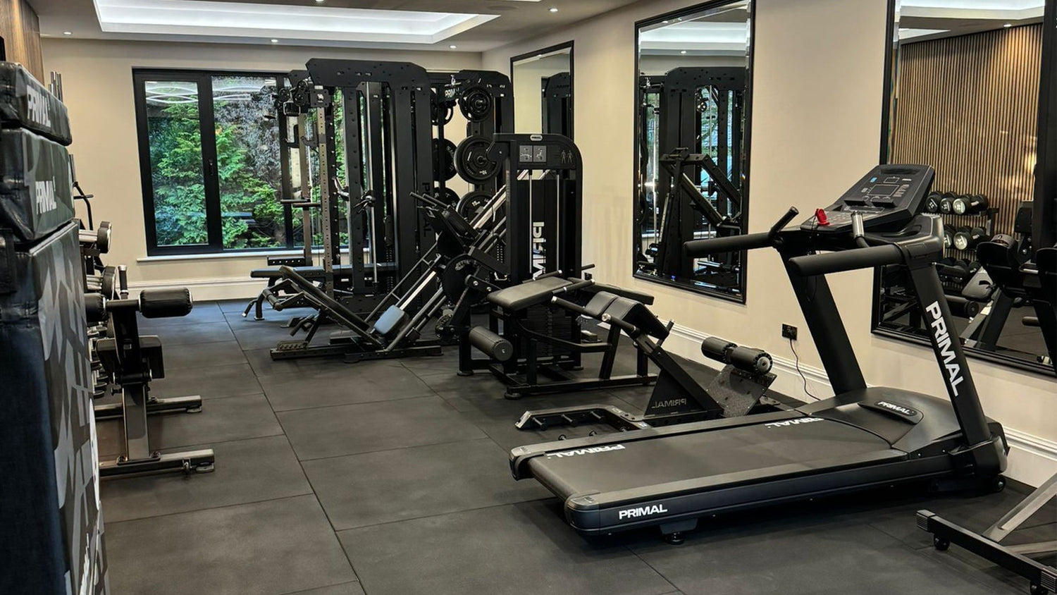 Compact Home Gym x Primal