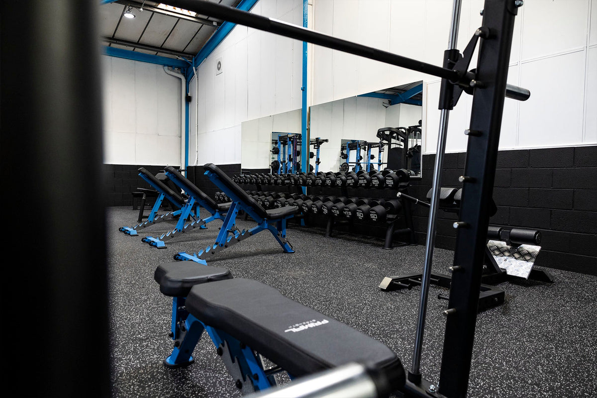 Tree Gym Tree House Gym – London – Primal Strength US