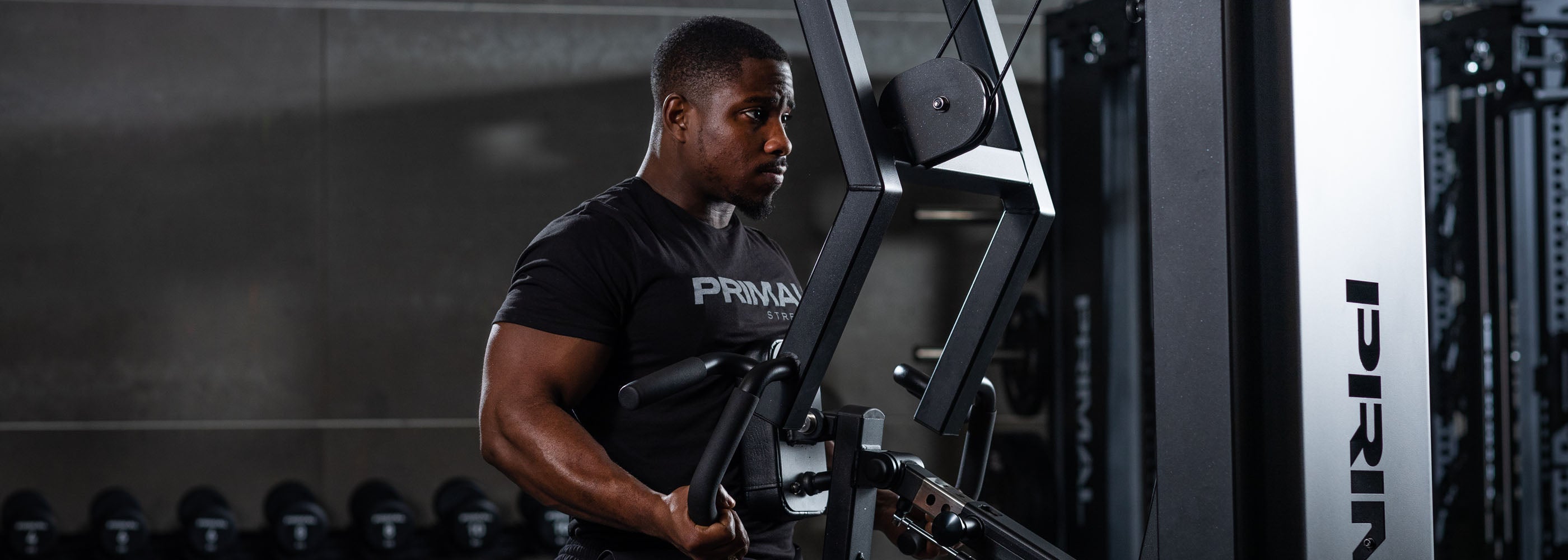 Gym Arm Machines | Arm Resistance Machines â Primal Strength US