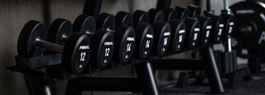 <p>Gym Storage</p>