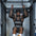AB Straps