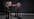 Primal Strength US image