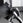 Plate Loaded ISO Bicep Curl