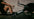 Primal Strength US image