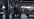 Primal Strength US image