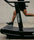 Primal Strength US image