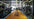 Primal Strength US image
