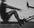 Primal Strength US image