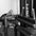 275 lbs Pin-Select Dual - Seated Leg Ext/Leg Curl