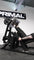 Primal Strength US image