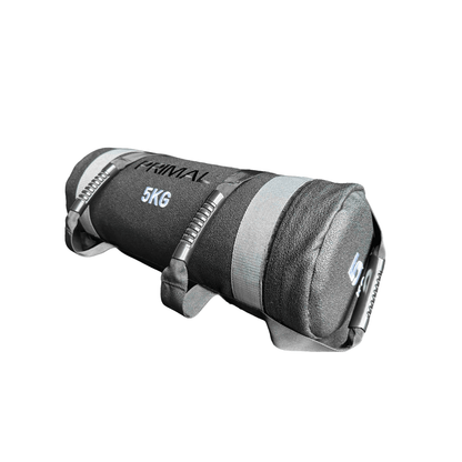 A 5kg grey sandbag with handles.