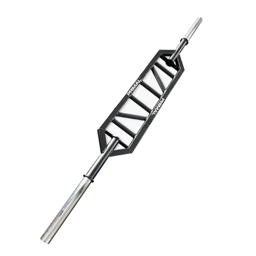 An Olympic swiss style barbell.
