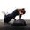 Balance Trainer