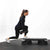 Studio Step