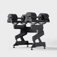 A dumbbell storage stand filled with a pair of adjustable dumbbells.