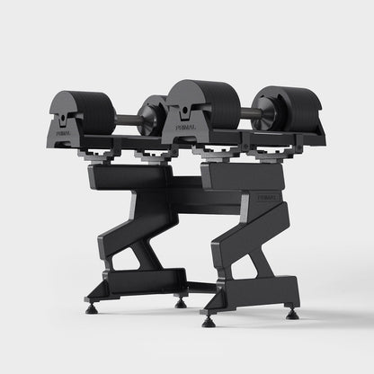A dumbbell storage stand filled with a pair of adjustable dumbbells.