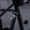 Standing Chest Press