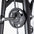 Olympic 5 Degree Smith Machine
