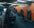 Primal Strength US image
