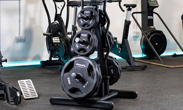 <p>Weight Plate Racks</p>