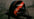 Primal Strength US image