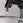 275 lbs Pin-Select Dual - Lat Pulldown/Seated Row