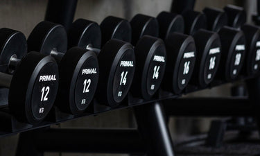<p>Urethane Dumbbells</p>